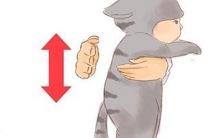 икота у грудничка