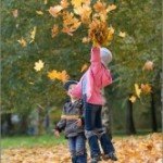 Стихи про осенние листья
