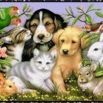 Загадки про животных