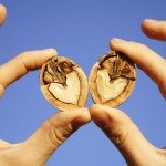 Грецкие орехи 8 основных преимуществ, которые сохраняют ваше здоровье