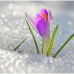 Учим стихи о весне
