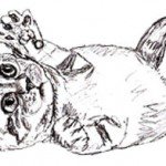 Как рисовать котенка