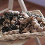 Делаем поделки из шишек и желудей вместе