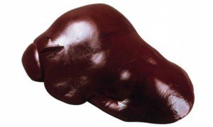 Kak-povyisit-gemoglobin-v-krovi-govyazhya-pechen