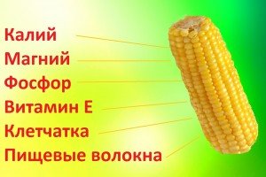 fon3