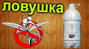 kak-sdelat-raptor-lovushku-88663-large (1)