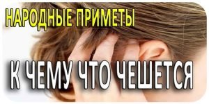 Что к чему чешется?