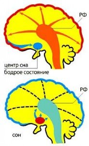 4884