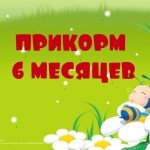 Как вводить прикорм ребенку с 6 месяцев?