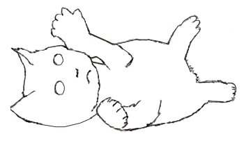 kitten-3