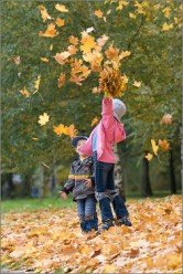 Стихи про осенние листья